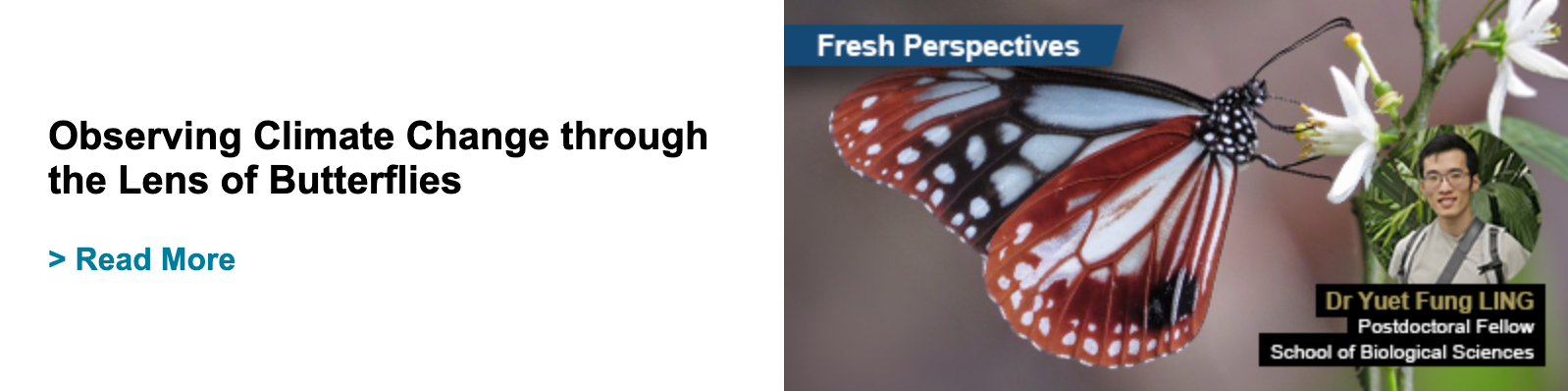 Observing Climate Change through the Lens of Butterflies